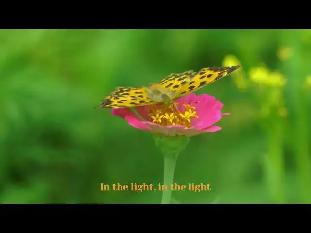 'Video thumbnail for HalleluYah I'm Alive (TonYah's Song)'