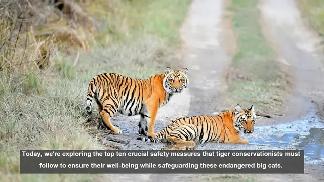 Video thumbnail for 10 Essential Safety Tips for Tiger Conservationists