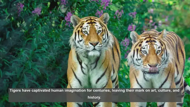 Video thumbnail for 10 Remarkable Tiger Artifacts in Museums Worldwide