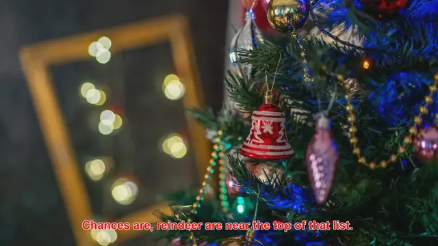 Video thumbnail for Why Are Reindeer Featured In Christmas Advertising?