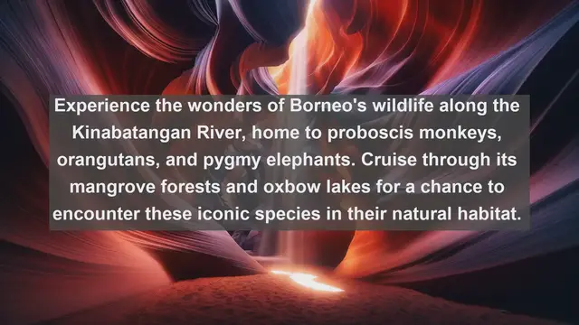 Video thumbnail for Exploring Malaysia's Natural Wonders: Top 10 Famous Rivers You Must Visit