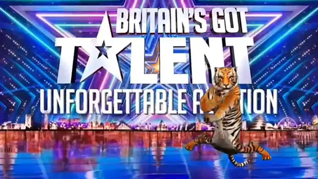 'Video thumbnail for Tiger show his miracle telant on american got talent 2024(360P)'