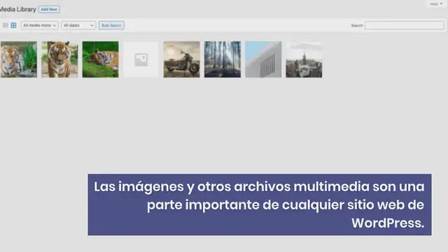 Video thumbnail for La guía completa de la biblioteca de multimedia de WordPress (4 trucos de la biblioteca de medios Incluidos)