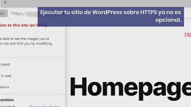 Video thumbnail for Cómo Arreglar Rápidamente las Advertencias de Contenido Mixto de WordPress (HTTPS/SSL)