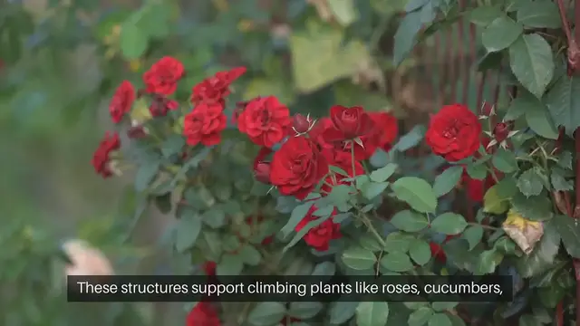 Video thumbnail for DIY Outdoor Garden Trellises and Arbors