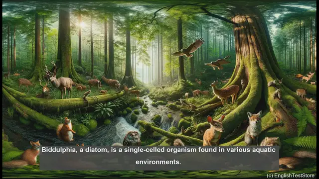 Video thumbnail for Biddulphia in biology