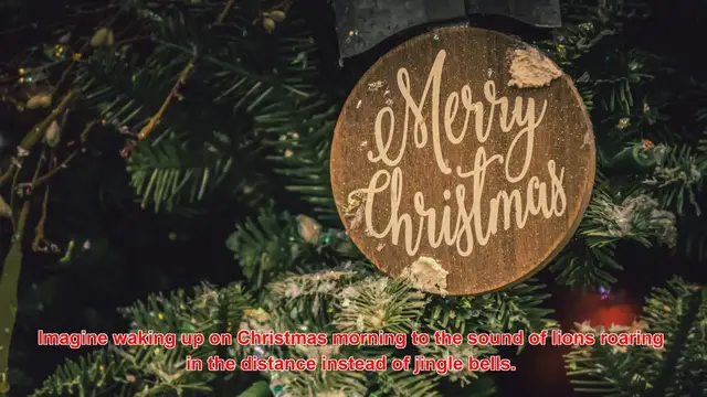 Video thumbnail for How Do People Celebrate Christmas On Safari?