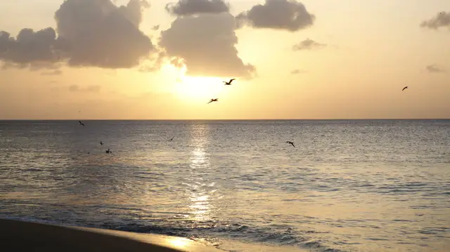 Video thumbnail for Hotel Starfish auf Tobago