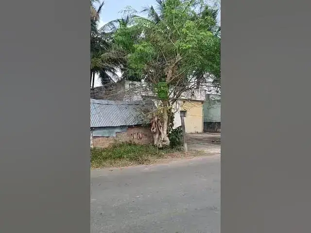 Video thumbnail for 1.37 Acre On-Road Land for Sale Near Marakkanam | 150 Ft Road Frontage | 4 Lane Highway Growth Area
