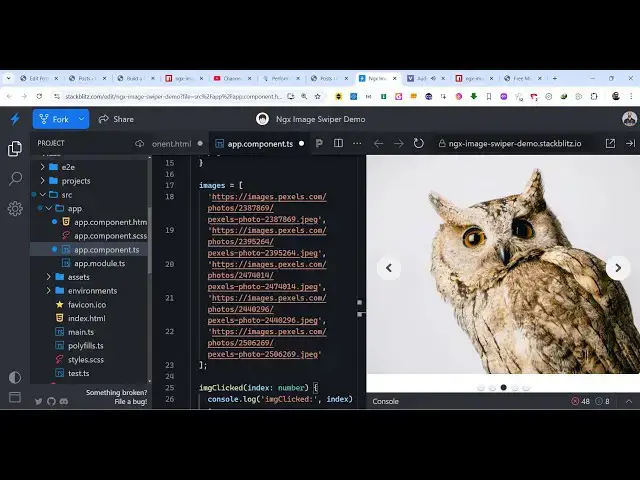 Video thumbnail for Angular ngx-image-swiper Example to Build Image Swiper Animation With Controls in Browser Using TS