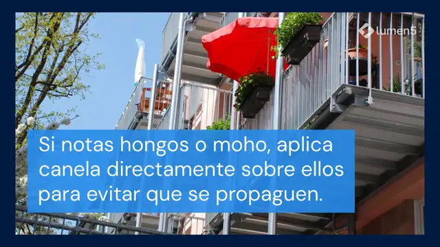 'Video thumbnail for Esto es lo que sucede cuando viertes una cucharadita de canela en tus plantas'