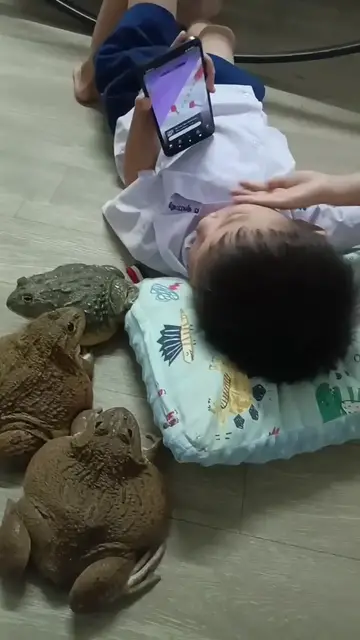 'Video thumbnail for Os pets do meu filho 😂'