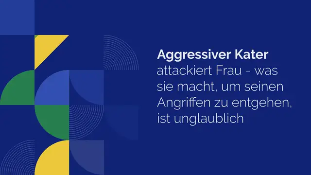 'Video thumbnail for Aggressiver Kater attackiert Frau – was sie macht, um seinen Angriffen zu entgehen, ist unglaublich'
