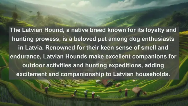 Video thumbnail for Latvia's Most Beloved Companions: Top 10 Favorite Pets Unveiled