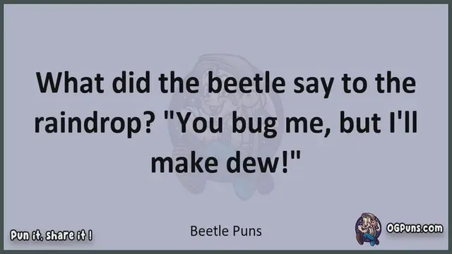 Video thumbnail for Beetle - Jokes, Puns, Wordplays, and Laughter