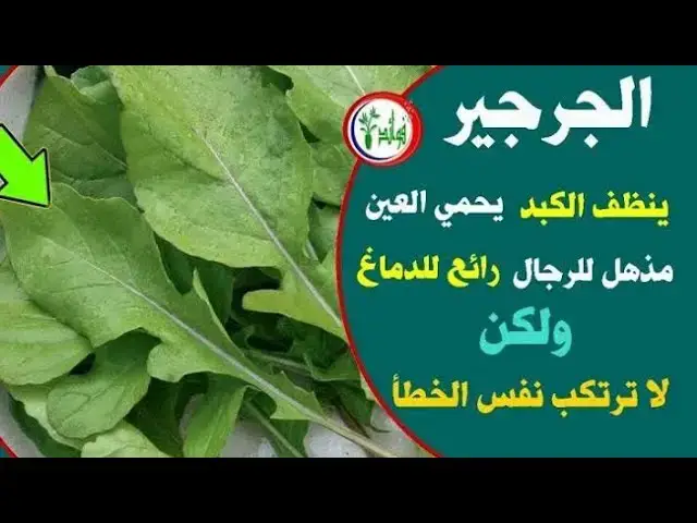 Video thumbnail for الجرجير