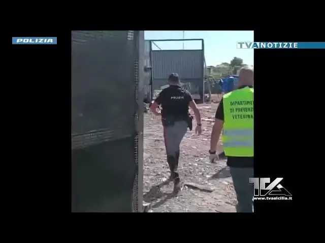 'Video thumbnail for Controlli a Misterbianco: salvato un cavallo maltrattato e sequestrata un’area con discarica abusiva'