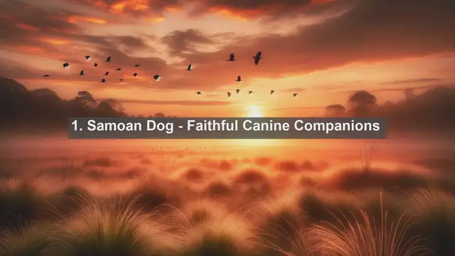 Video thumbnail for Pet Paradise in American Samoa: Top 10 Beloved Pets Unveiled