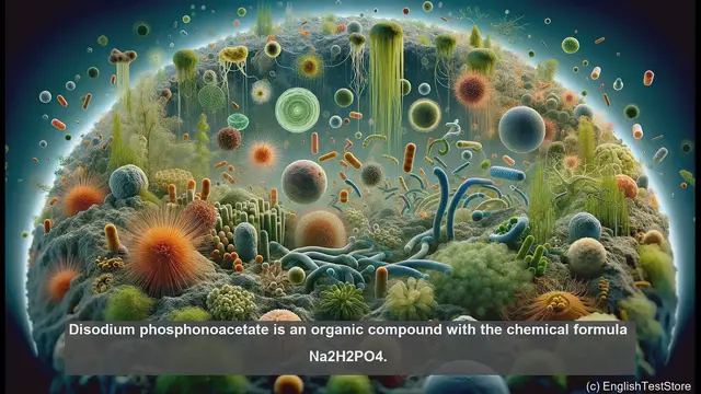 Video thumbnail for Disodium phosphonoacetate in biology - meaning, definition and examples