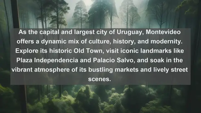 Video thumbnail for Discovering the Top 10 Largest Cities in Uruguay!