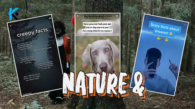 Video thumbnail for 1,000 YouTube Shorts in 20 MINUTES (Canva + ChatGPT)  I Generated Creepy facts YouTube shorts.