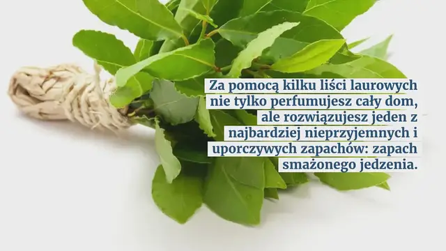 Video thumbnail for Wszystko, czego potrzebujesz, to kilka liści laurowych i perfumy w całym domu
