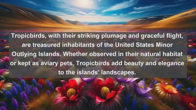 Video thumbnail for United States Minor Outlying Islands' Top 10 Beloved Pets: Discover the Unique Animal Companions of the Remote Territories