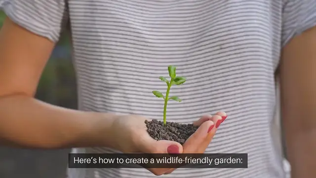 Video thumbnail for How To Design A Garden For Wildlife