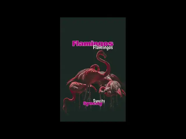 'Video thumbnail for Syncityraps ~ Flamingos ~'