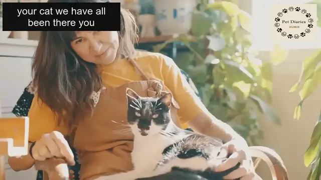 Video thumbnail for Apologizing to Your Cat Step-by-Step Guide