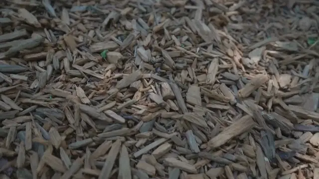 Video thumbnail for 7 Garden Ideas On A Budget