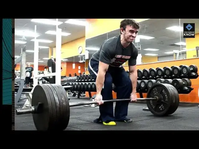 Video thumbnail for Top 10 Strength Training Exercises for Beginners to Build Muscle and Bone Density