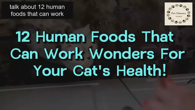 'Video thumbnail for Healthy Foods for Cats'