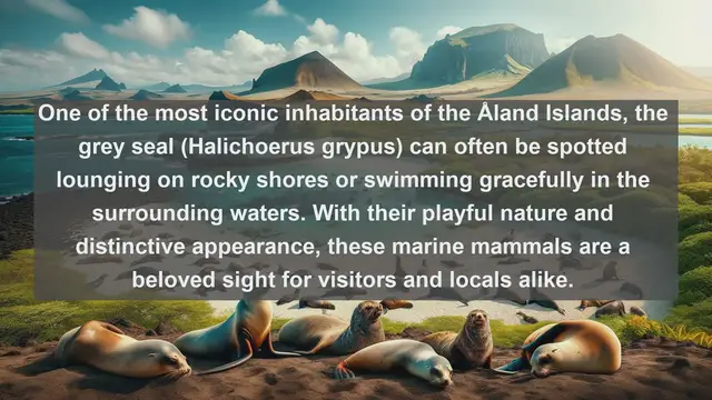 Video thumbnail for Exploring Åland's Natural Wonders: Top 10 Native Fauna of the Åland Islands