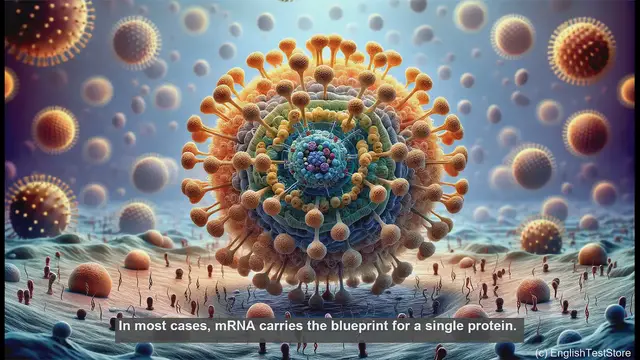 Video thumbnail for Polycistronic mrna in biology