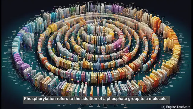 Video thumbnail for Phosphorylation in biology