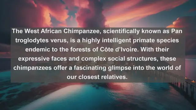 Video thumbnail for Discovering Côte d’Ivoire: Top 10 Native Animals in the Heart of West Africa