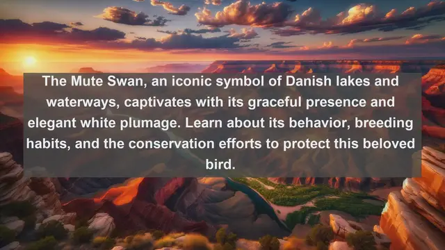 Video thumbnail for Exploring Denmark's Avian Diversity: Top 10 Native Birds
