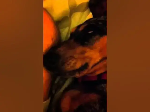'Video thumbnail for Snoring Norah'
