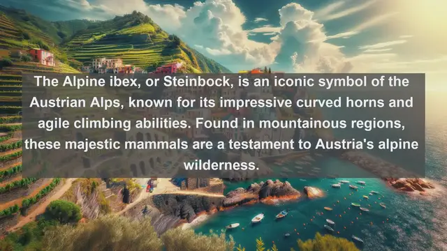 Video thumbnail for Top 10 native fauna in Austria