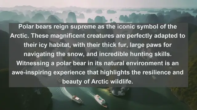 Video thumbnail for Discovering Arctic Wonders: Top 10 Native Animals in Svalbard and Jan Mayen