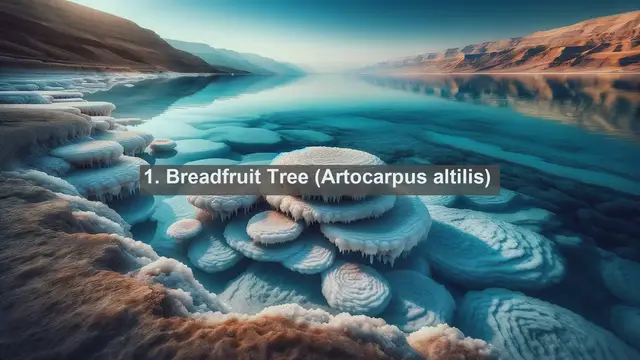 Video thumbnail for Exploring Micronesia's Natural Gems: Top 10 Native Flora Species