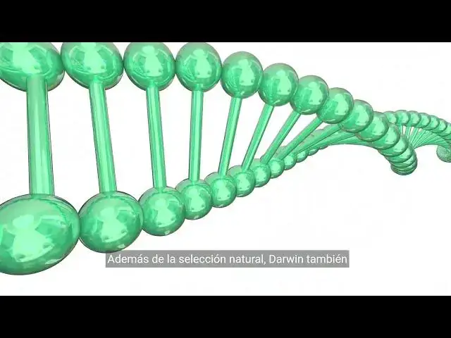 Video thumbnail for La teoría de la evolución de Darwin explicada