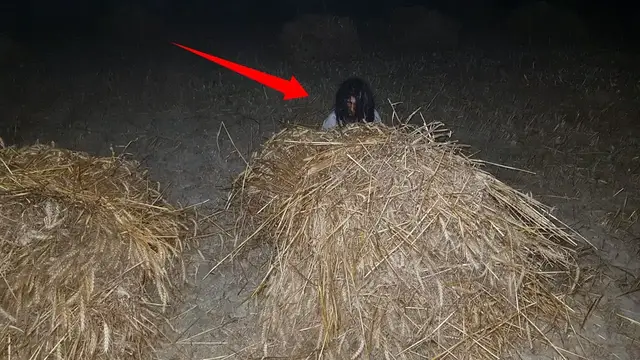 Video thumbnail for jinnat ki Basti Kaalo Bhootni with Rao Shamas Ali #Ep626