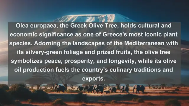 Video thumbnail for Exploring Greece's Botanical Wonders: Top 10 Native Flora