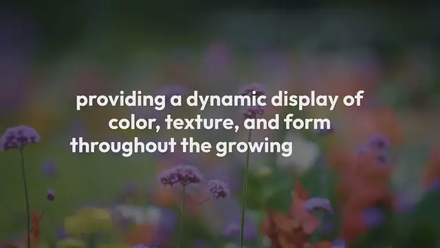 Video thumbnail for Herbaceous Border Design
