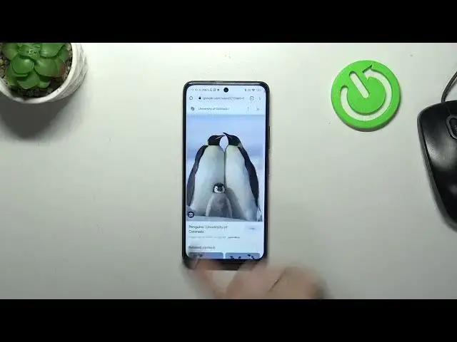 Video thumbnail for How to Clear Browser History on POCO X3 GT