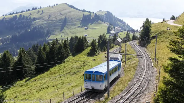 Video thumbnail for Rigi-Zahnradbahn und Blumenpfad