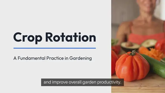 Video thumbnail for Crop Rotation Gardening Tips