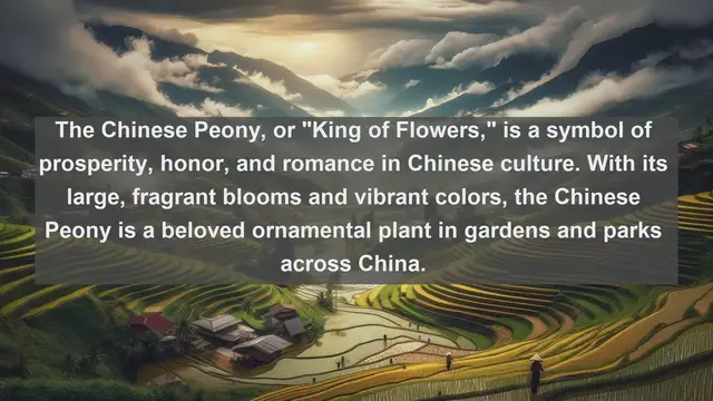 Video thumbnail for Exploring China's Natural Treasures: Top 10 Native Flora You Need to See!